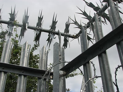 The top part of palisade fence, with many independent spikes installed above the triple fence and razor wire winding the fence.